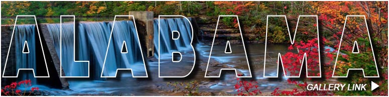 Link to Alabama Gallery